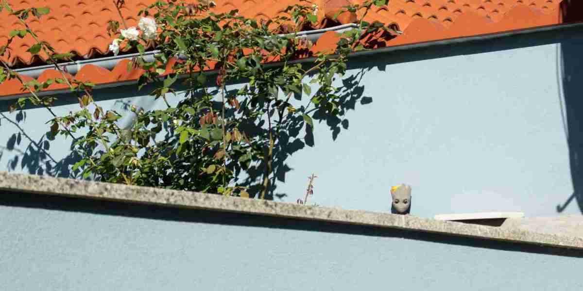 Optimale Dakzorg in de Sleutelstad: Voorkom Schade door Tijdige Controle