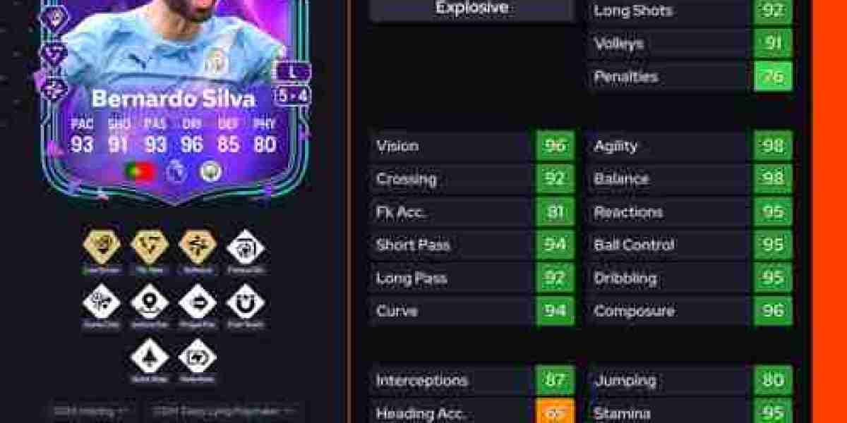 DCE Bernardo Silva Premium : solutions et prix
