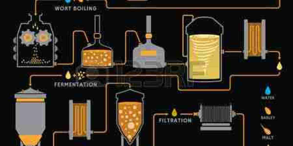 Beer Processing Market Set to Witness Robust Expansion Amid Rising Craft Brewing Demand by 2032