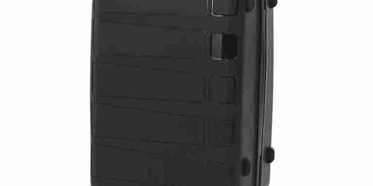 Suitcase With Spinner Wheels Sparks Trip Joy