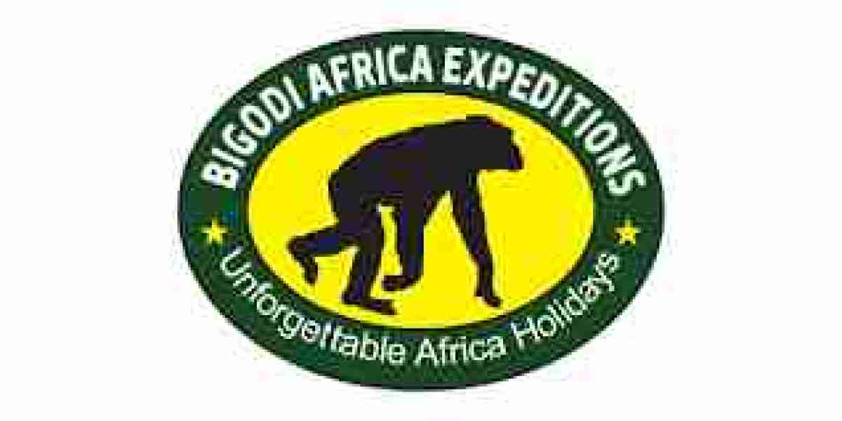 Big Five Game Drives: Where to See Africa’s Most Famous Wildlife in Uganda