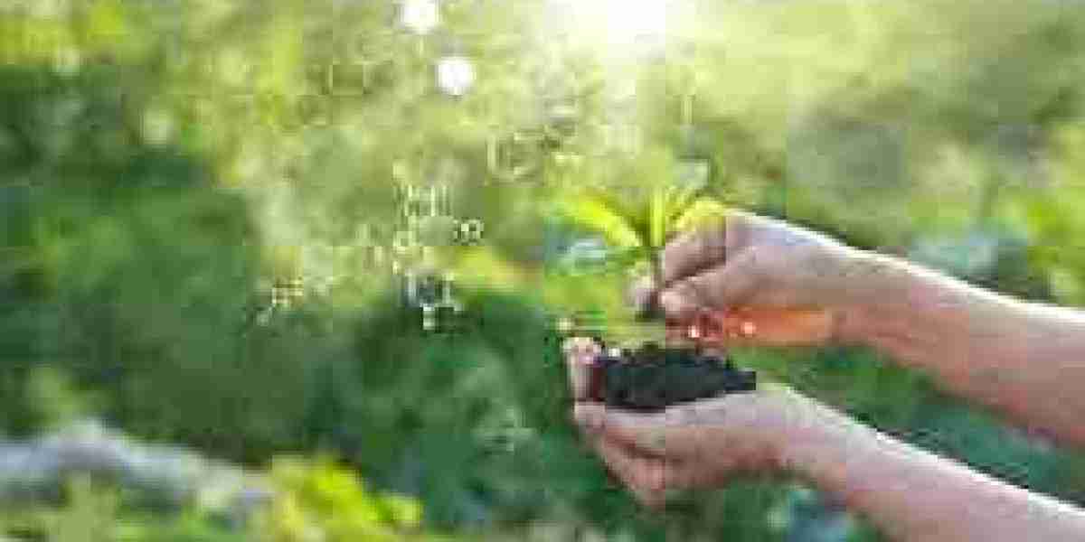 Bio-Based Polyols Market Trends: Renewable Materials Transforming Polyurethane Applications