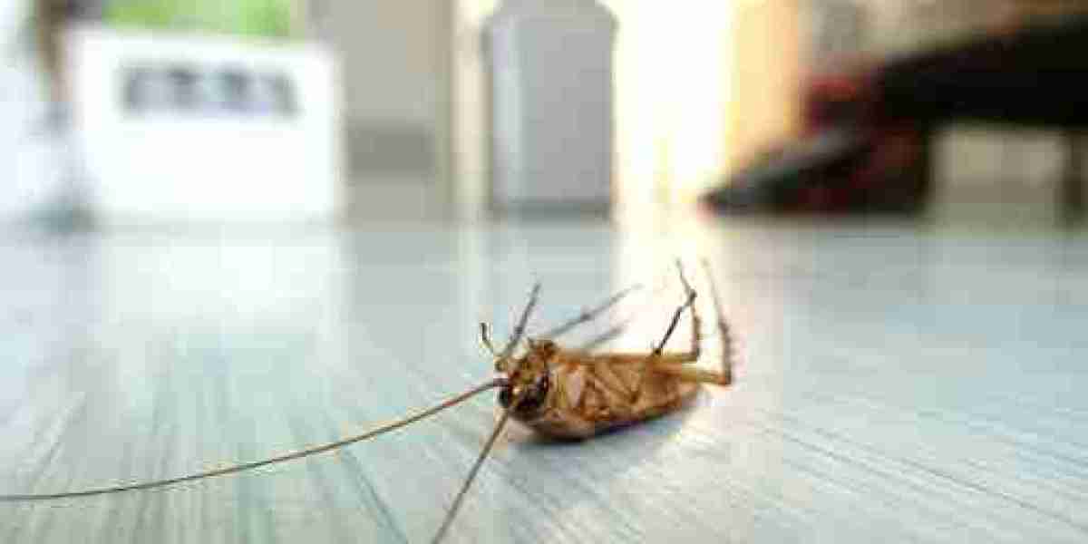 It Started With One. Then There Were Walls Full of Them. This Is How Every Infestation Actually Begins