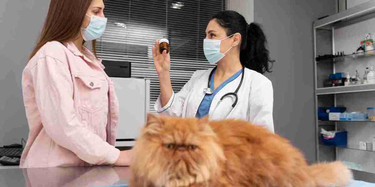 Cat vaccinations Marana