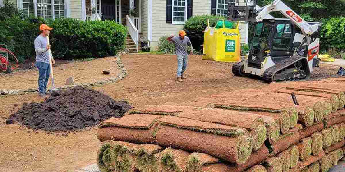 Transforming Outdoor Spaces Into Beautiful Green Retreats