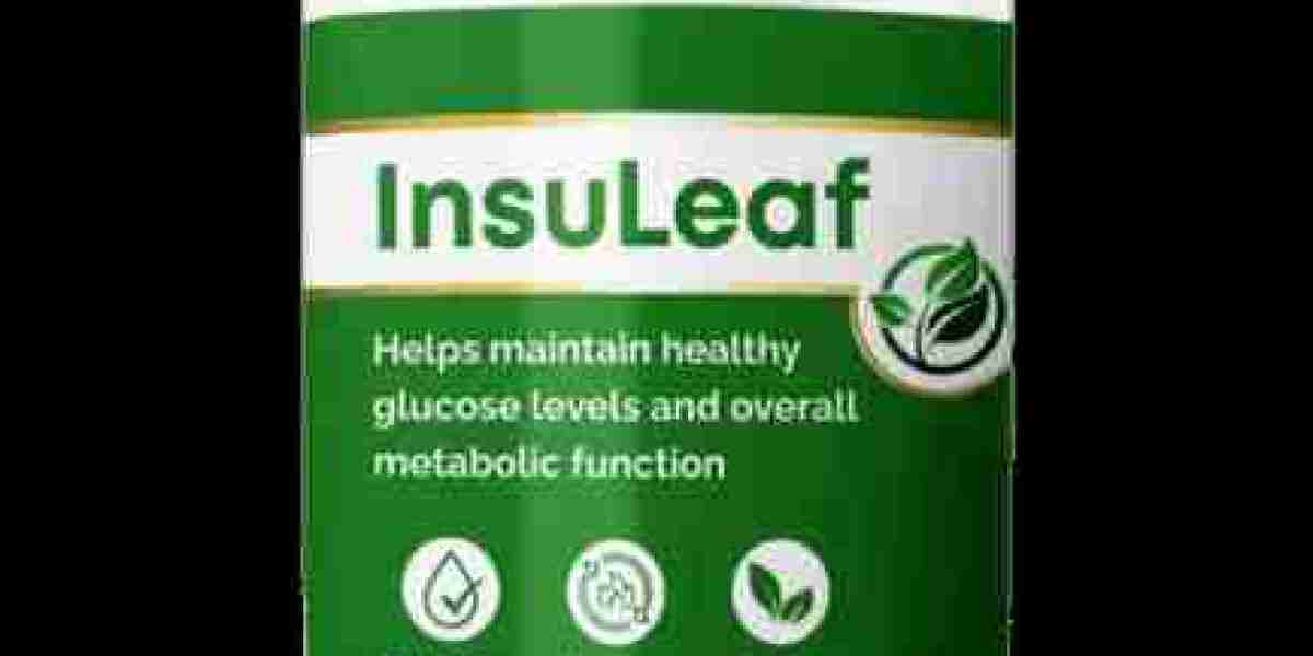 Daily Blood Sugar Support for Stability