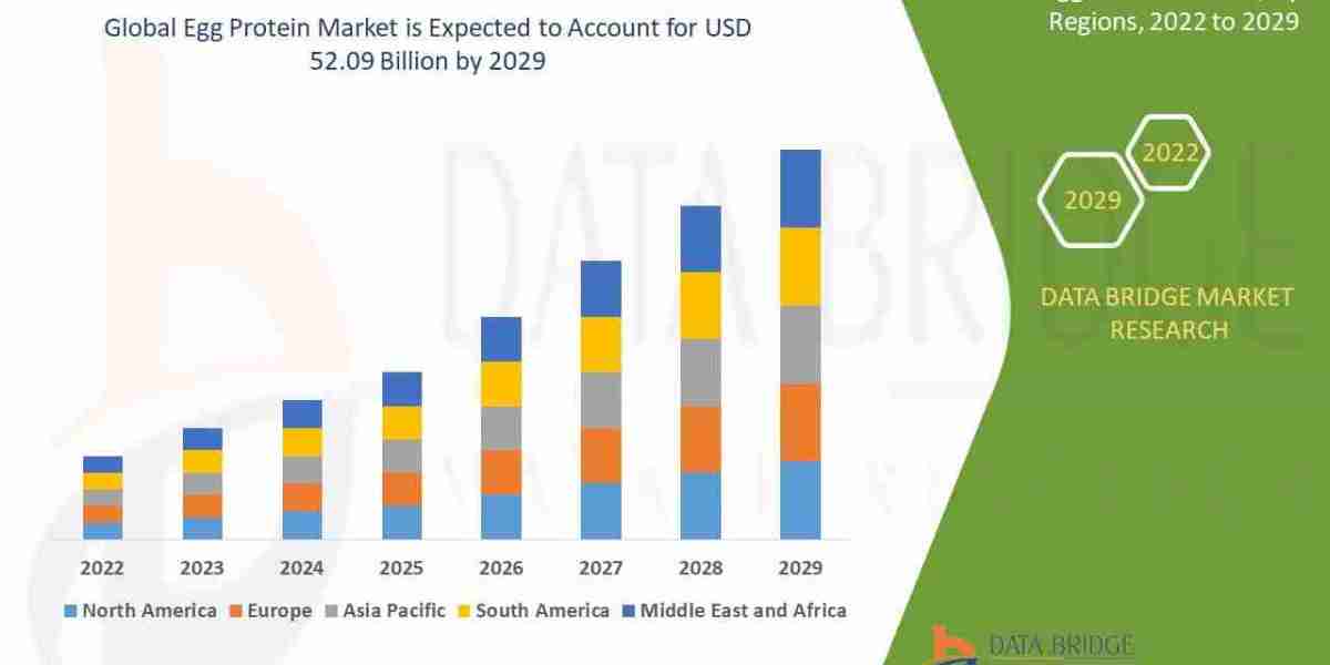 Egg Protein Market Report and Growth Forecast