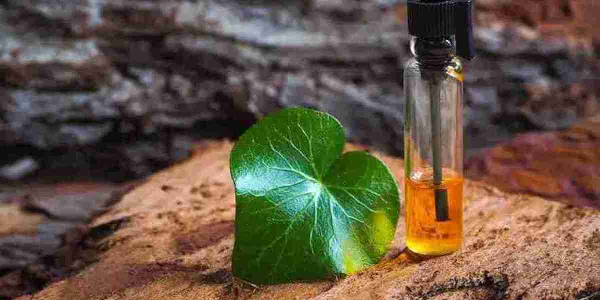 Agarwood Essential Oil Supplier for Global Perfume Industries