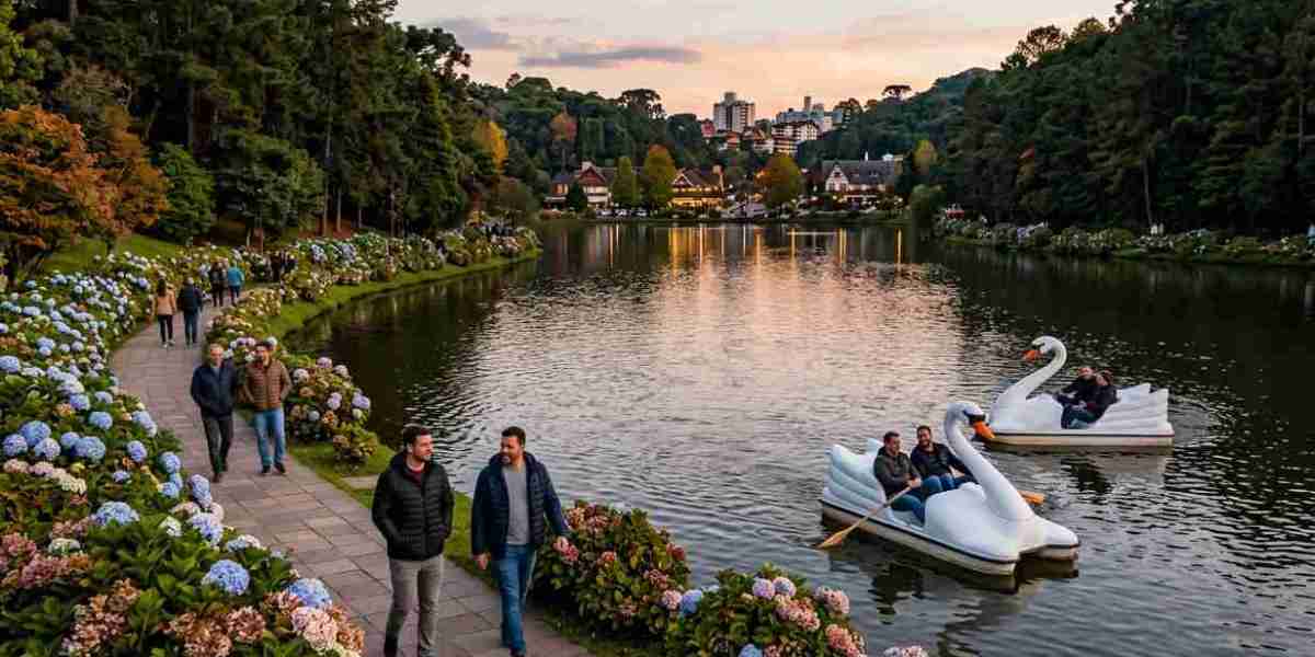 Brazil eVisa Application Guide for Canadian Passport Holders