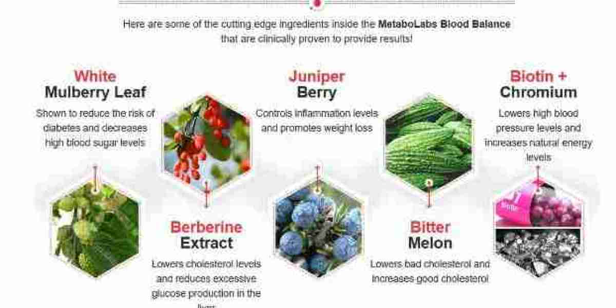 MetaboLabs Blood Balance Capsules – Naturally Assist Healthy Blood Sugar & Energy