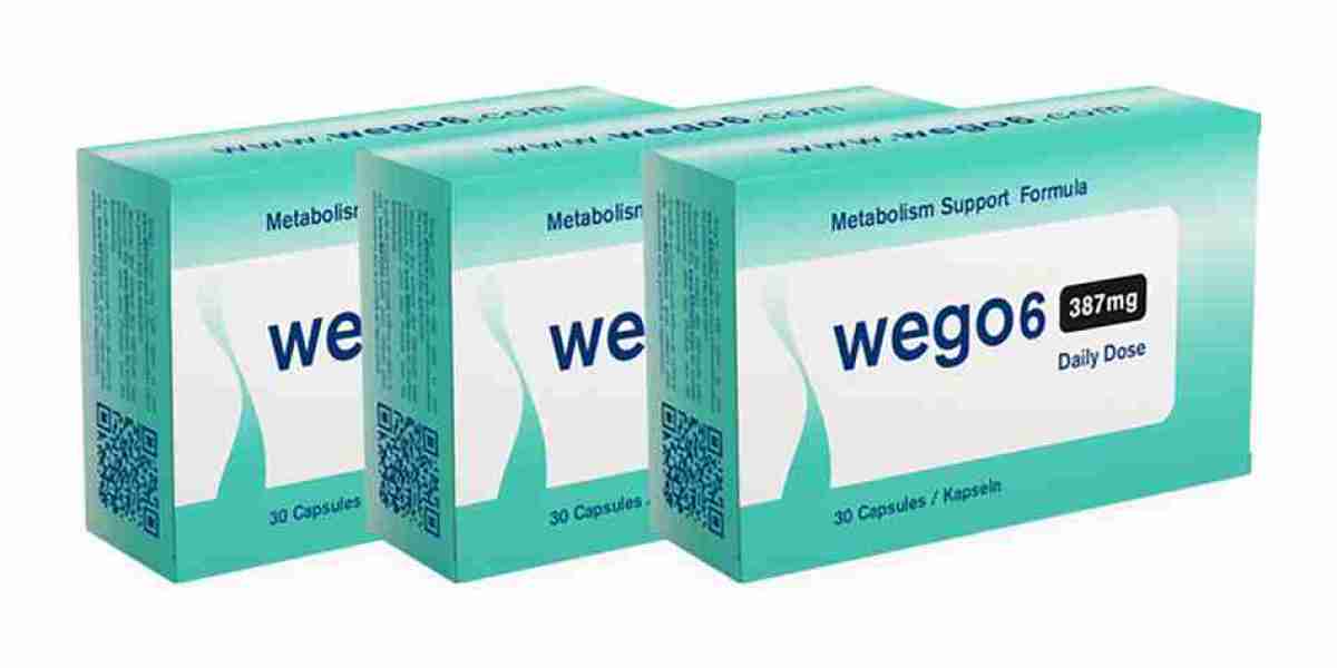 Wego6 Recension: Verkliga användarinsikter och prestandafördelning