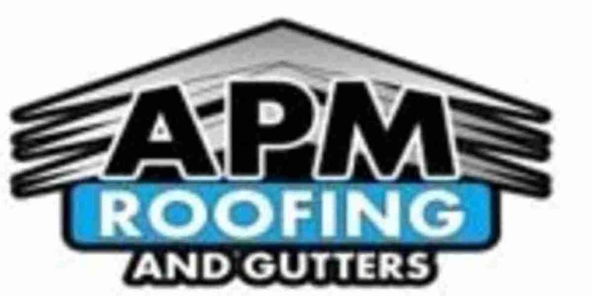 Professional Roofing Perth Services for Lasting Protection