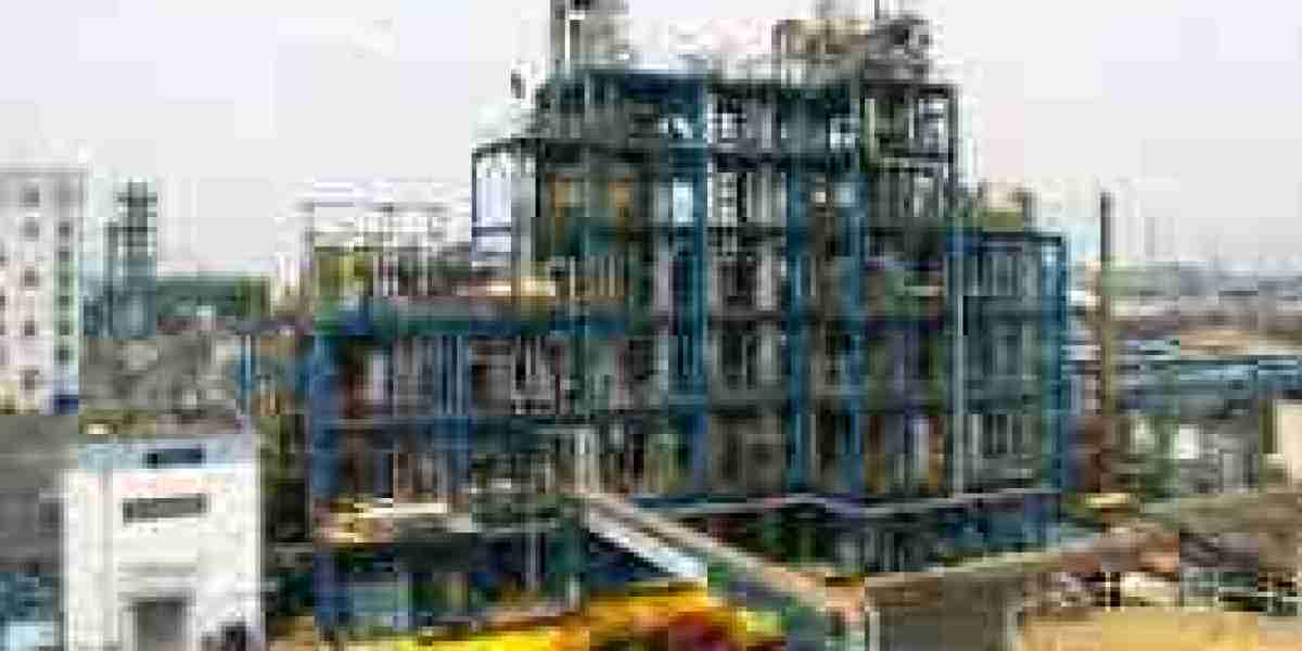 Oleo Chemical Market Poised for Sustainable Growth Across Industries