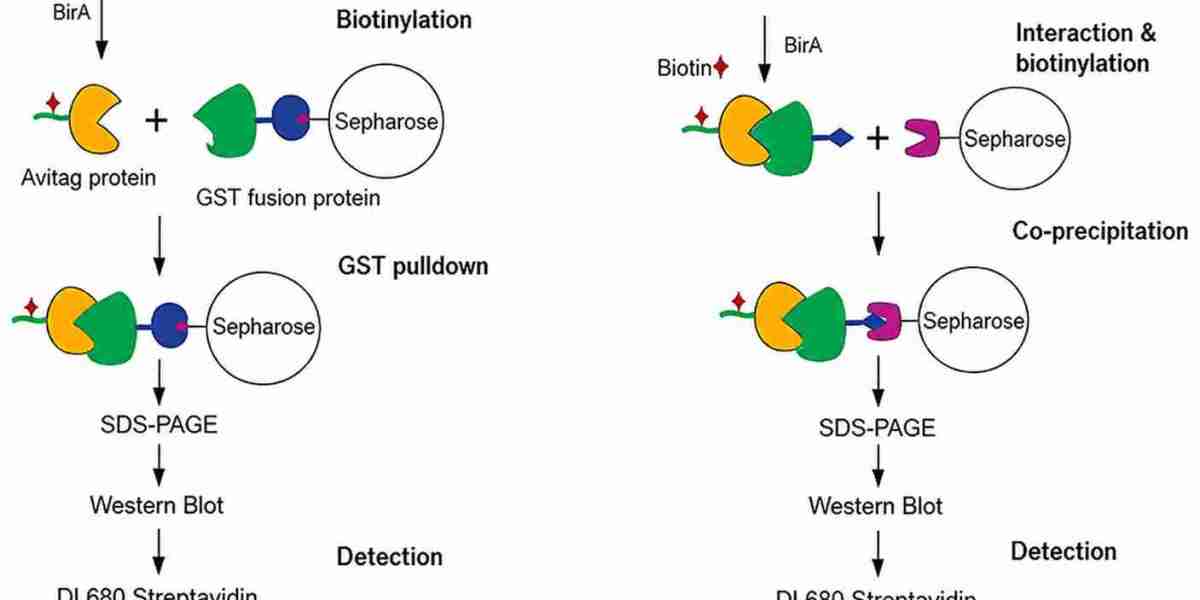 Viral Antigen – Understanding Its Role in Infection Detection and Immunology