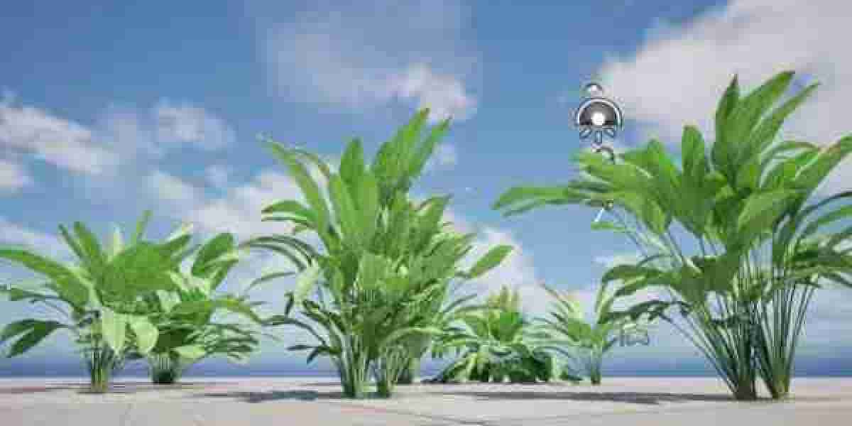Plants 3D Collection – High Quality Plant 3D Models for Designers