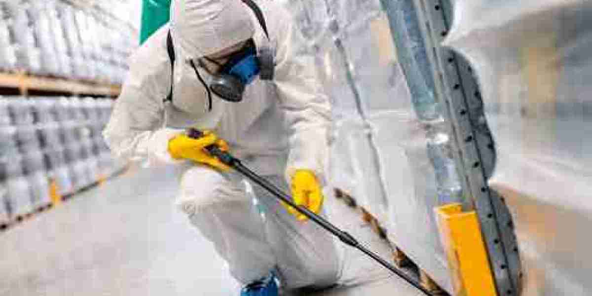 Questions to Ask Before Hiring a Residential Pest Control Company in San Antonio