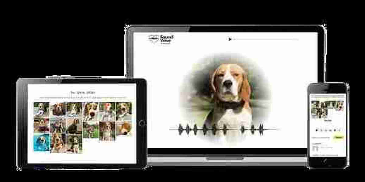 Pet Memorial Website Australia | Create Lasting Tributes for Pets Online