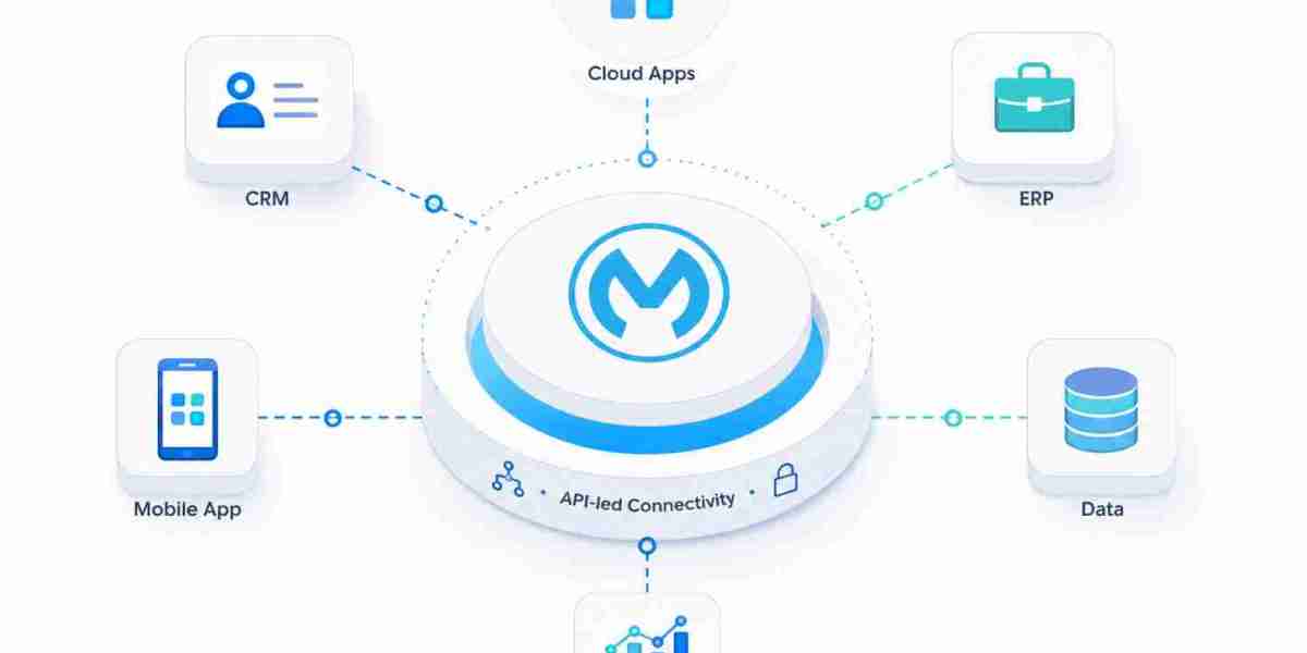 From Chaos to Clarity: SP Tech's MuleSoft Anypoint Platform Services Explained