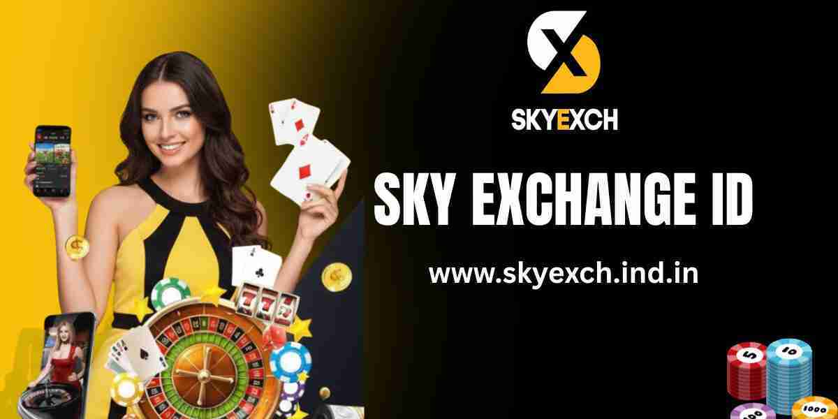 Sky Exchange ID Usage: How Users Interact with the Platform