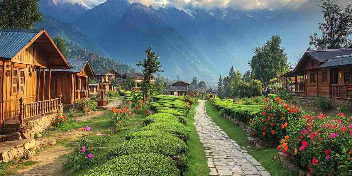 Delhi to Palampur Cab