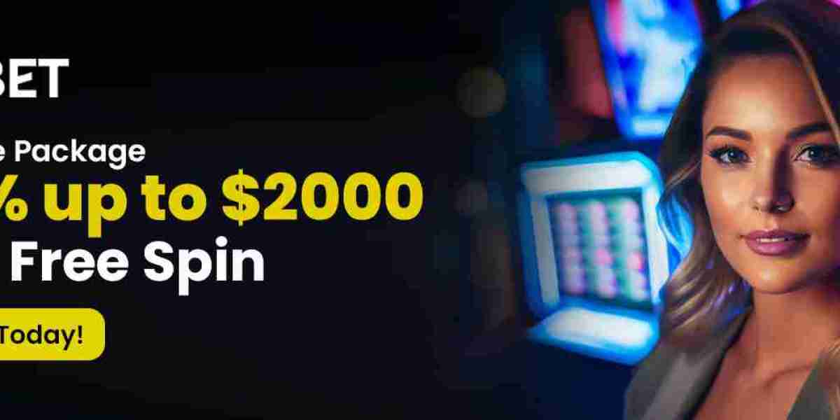 Canada's Premier Guide to Free Spin Promotions and Reward Driven Reel Experiences