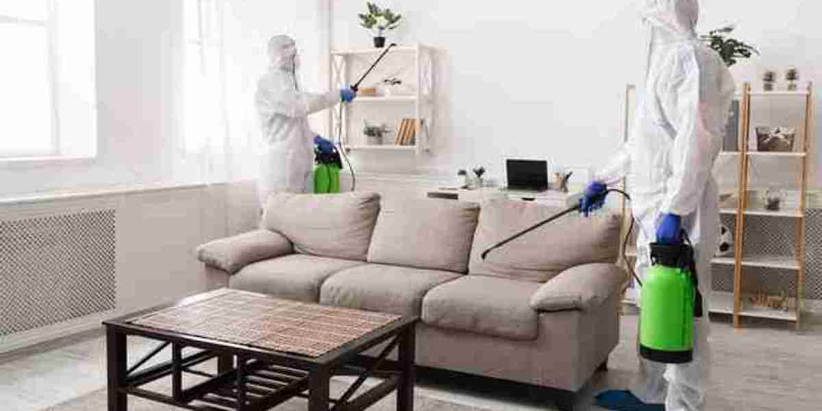 Why Professional Mosquito Control Services in USA Are Essential for Year-Round Protection