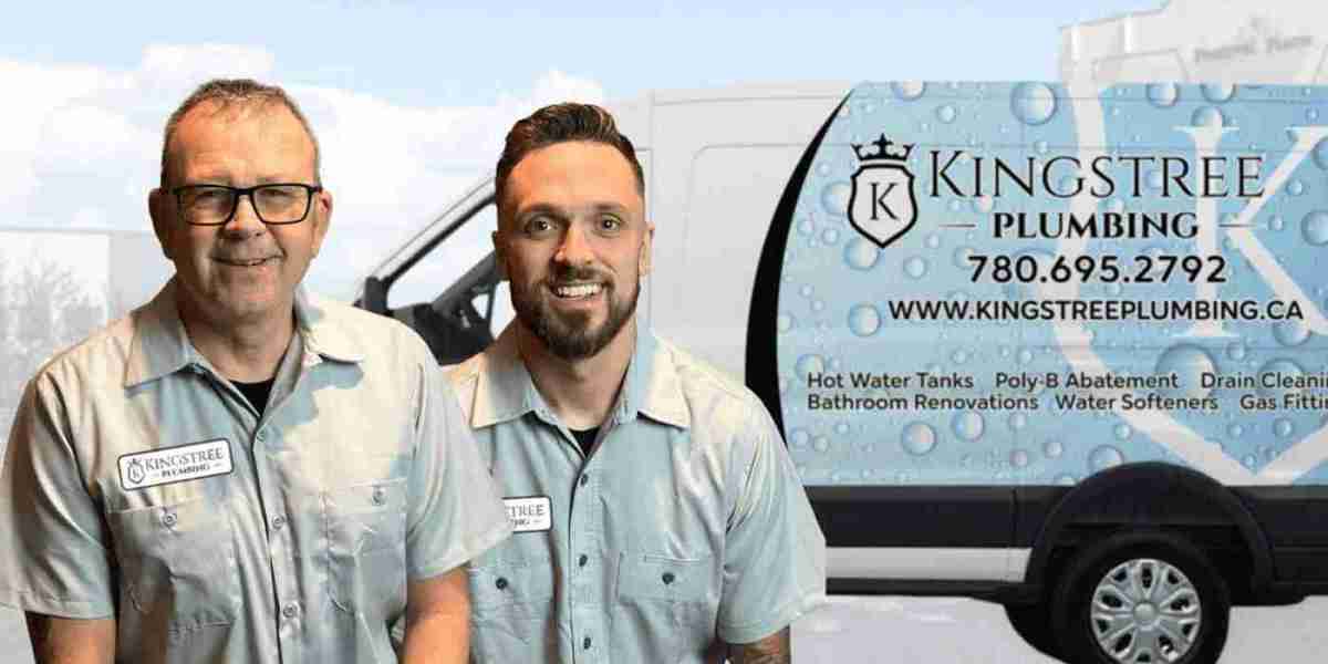 Professional Plumbing Solutions in Edmonton: Emergency Plumbing