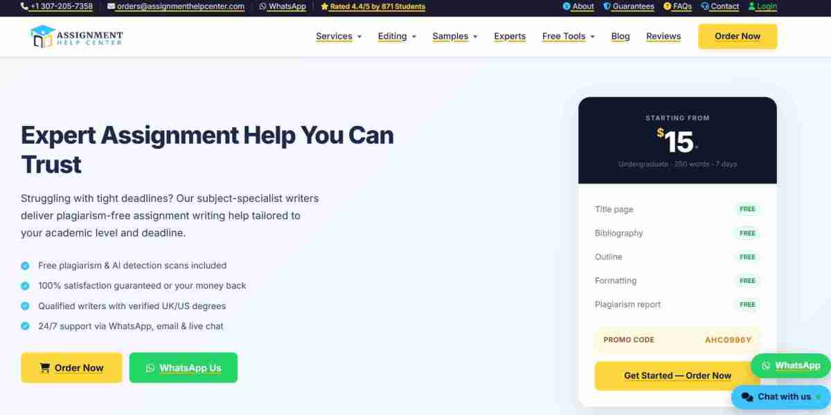 Professional Academic Writing Support Designed for Student Success