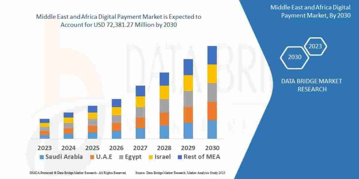 Middle East and Africa Digital Payment Market size and Trends analysis by 2030
