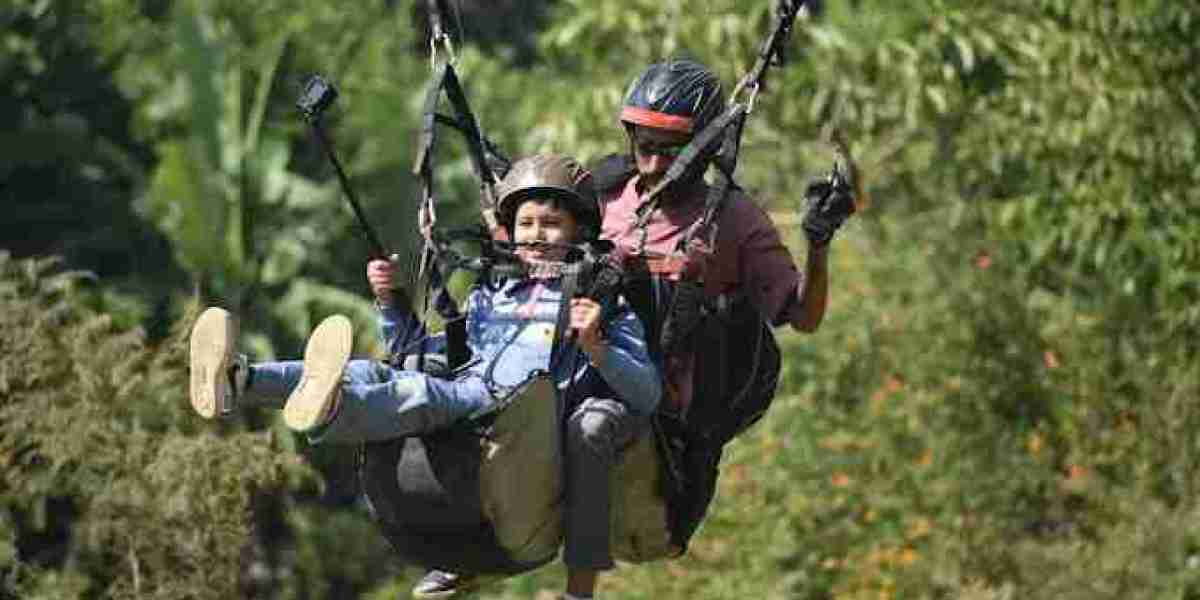 Best Travel Agency In Dehradun | Junglee Rasta