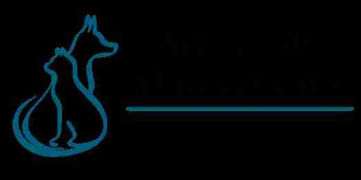 Why Choosing a Trusted San Fernando Valley Vet Is Important for Your Pet’s Lifelong Health