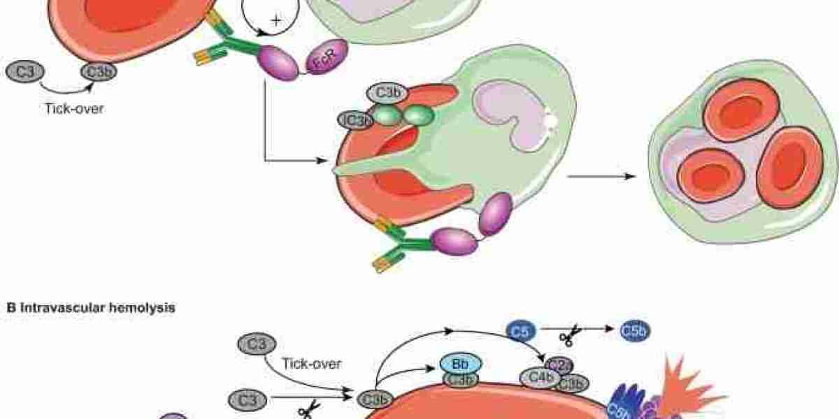 High-Performance Humanized Control Antibodies to Advance Infectious Disease Diagnostics