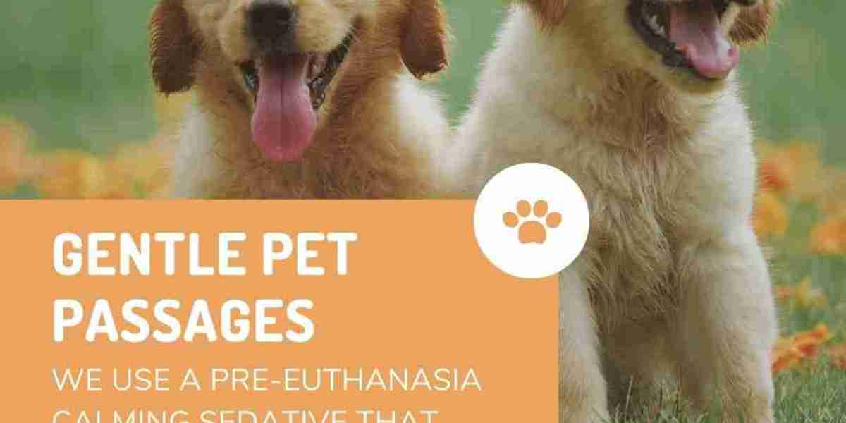 How to Create Lasting Memories with Your Pet