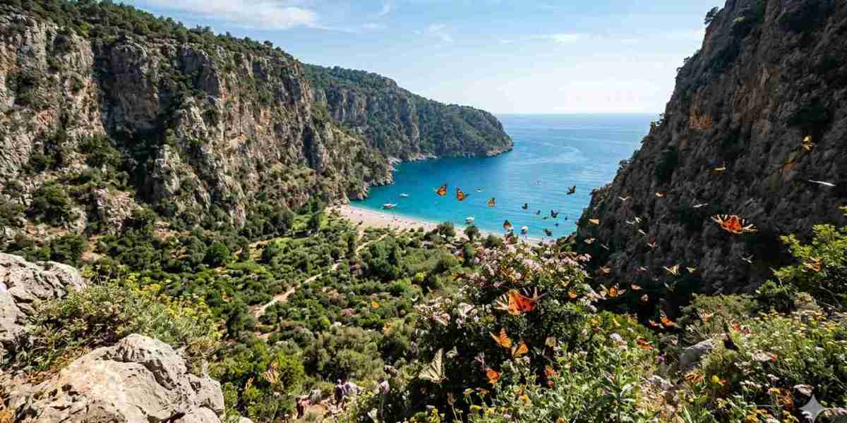 Turkey Visa for Dominican Republic Citizens: Complete eVisa Guide