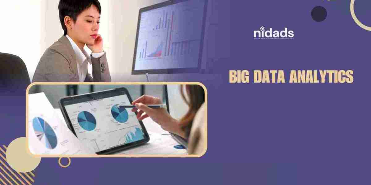 Python for Data Science: The Essential Programming Language for Data Professionals