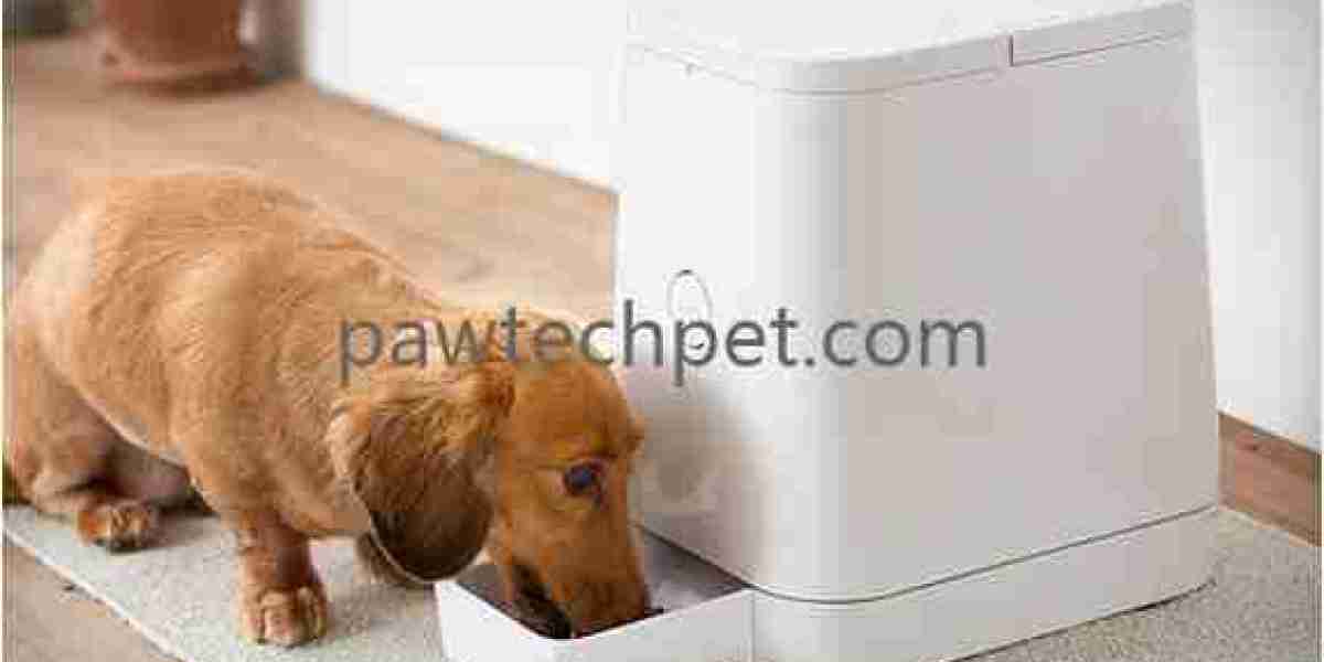 Modern Manufacturing for Intelligent Pet Solutions