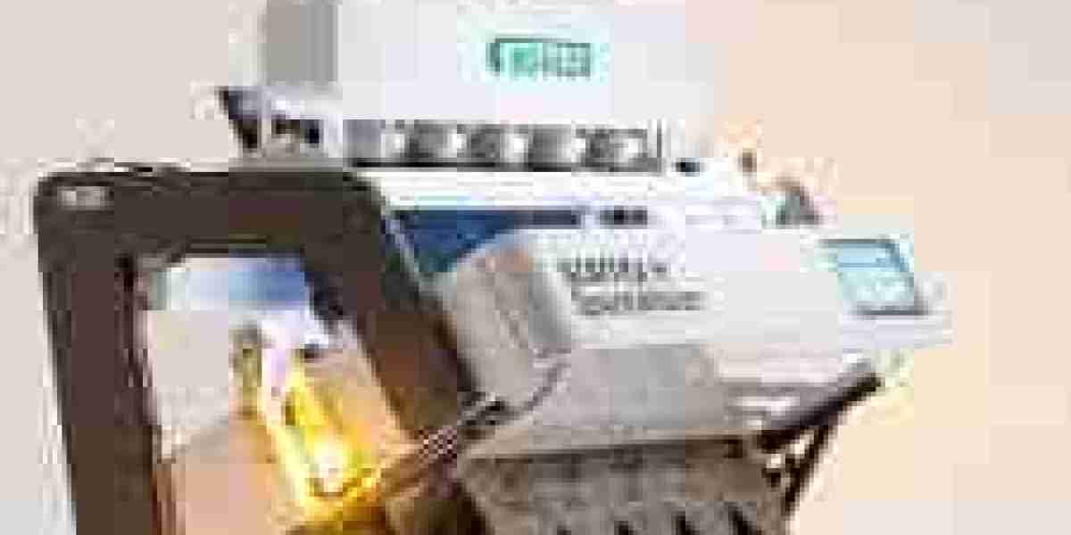 Optical Sorter Market Trends: Smart Vision Systems Driving Industrial Efficiency