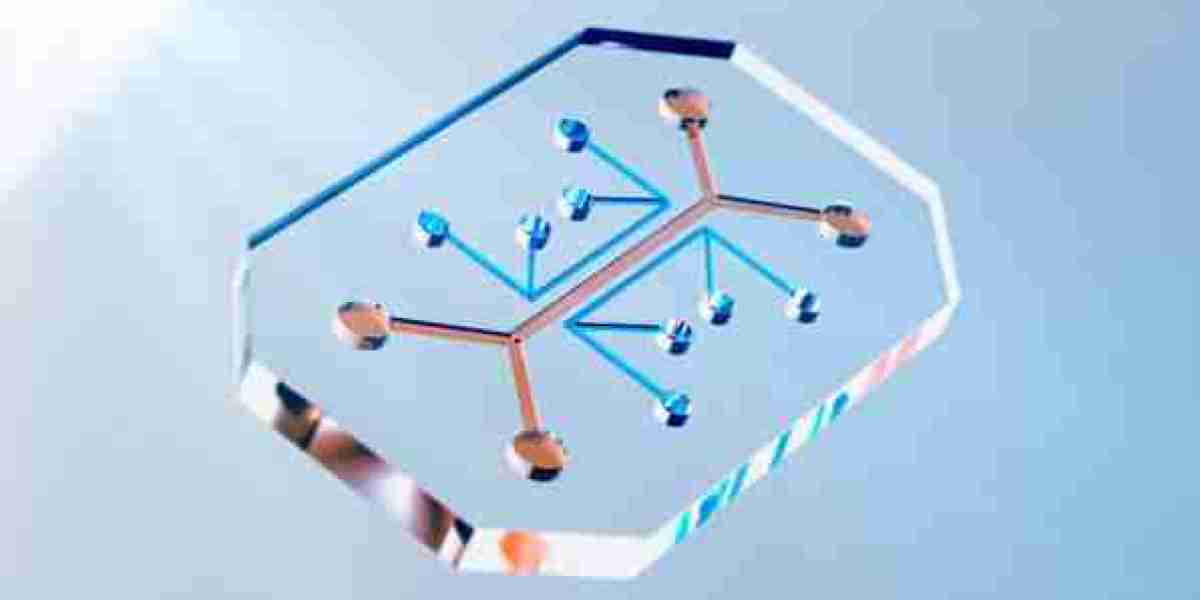 Organ-On-Chip Market Set for Strong Expansion with Rising Demand for Precision Medicine