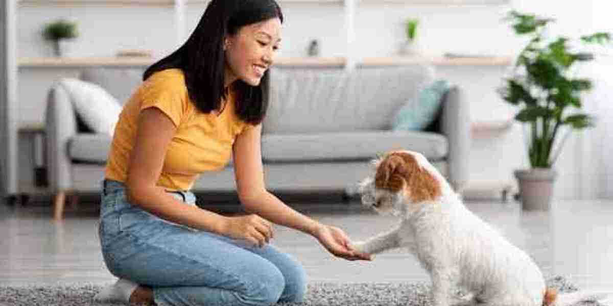 Pet Care Market Set for Strong Growth as Premium Pet Products Gain Global Demand
