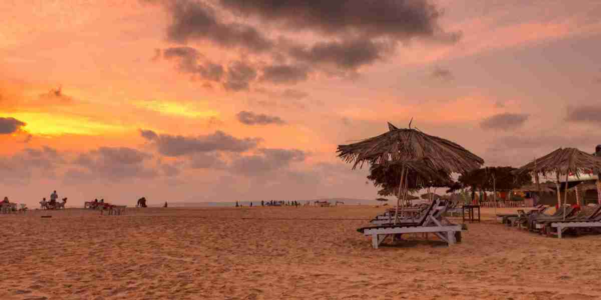 Indian e-Business Visa Application Guide for International Business Travelers