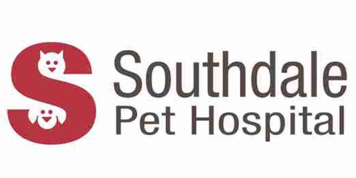 How to Choose the Best Veterinary Care for Your Pet