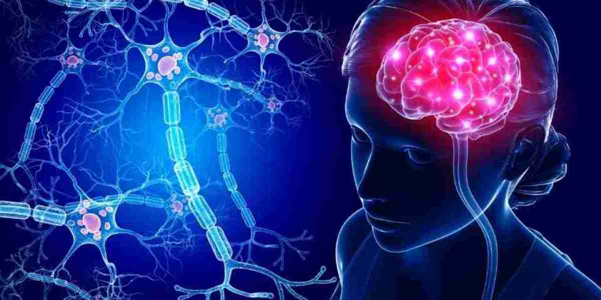What are the key ingredients in Cogniflo?