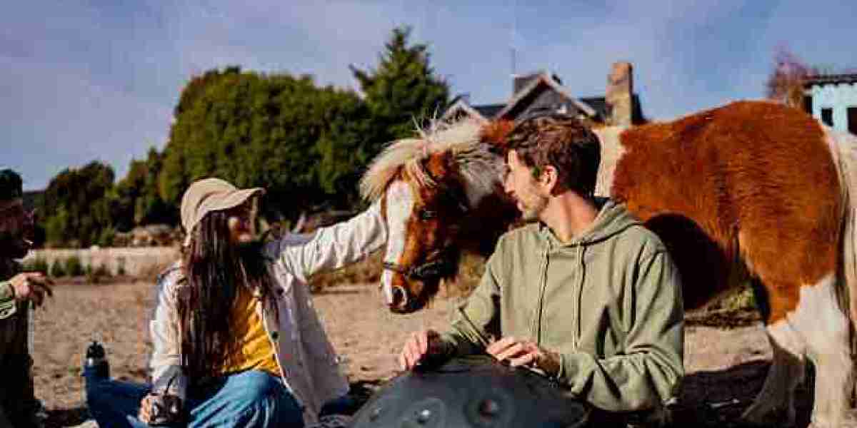 Horse Camps in Fairfield, CA: What Parents Should Know