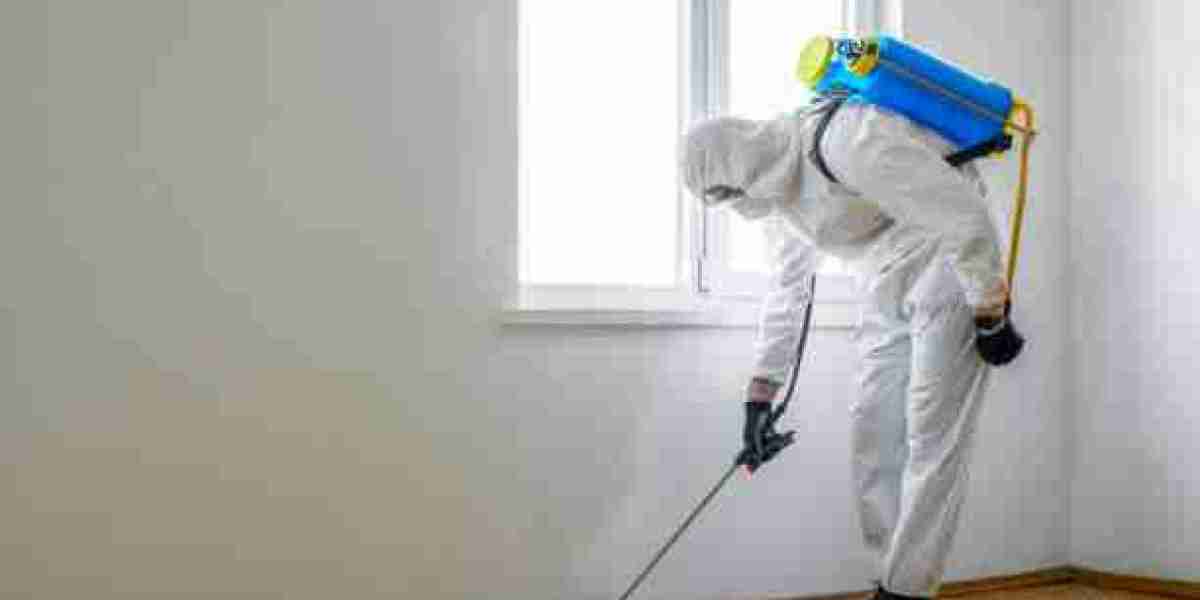 Fast Bed Bug Treatment in Cambridge, ON