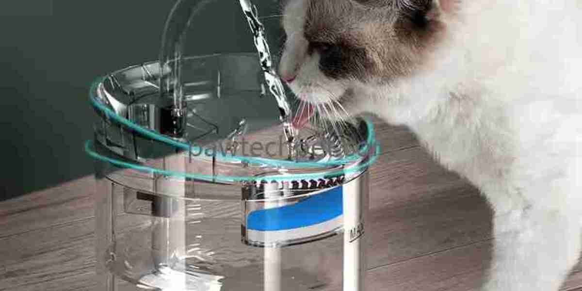 PAWTECH Smart Hydration Solutions for Modern Pet Care