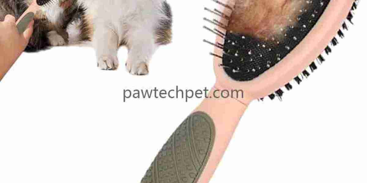 Precision Manufacturing Supporting Pet Care Innovation