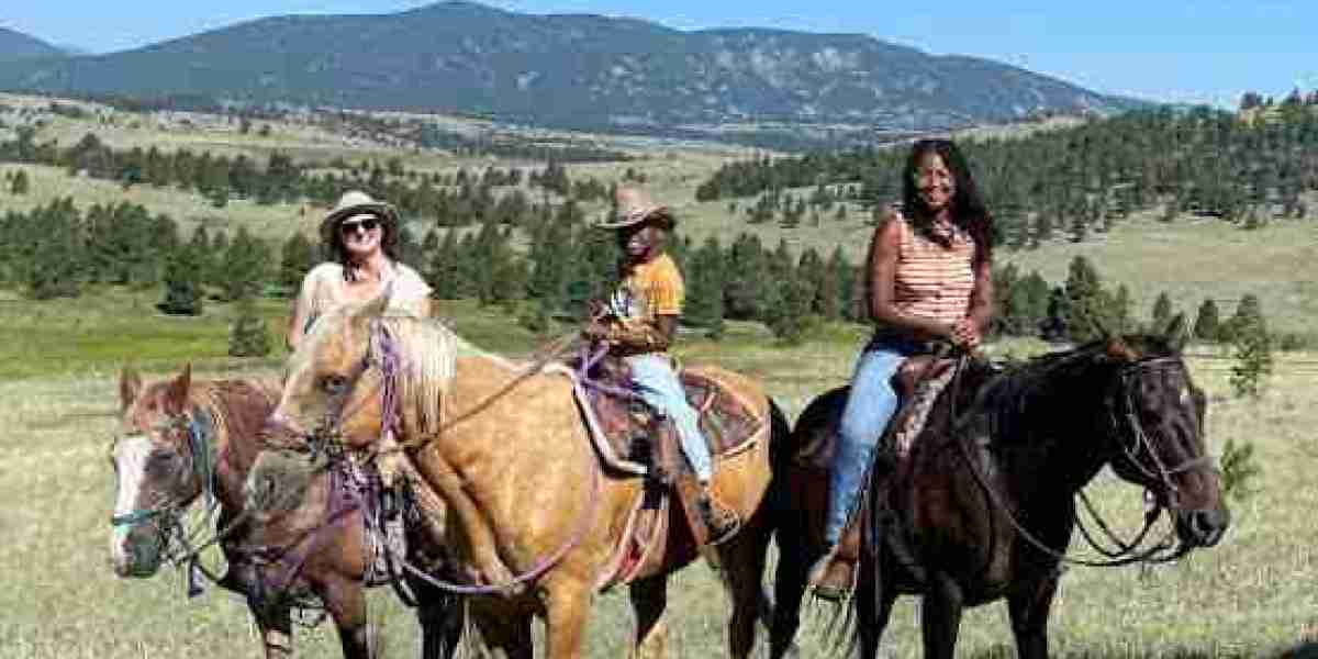 Modern Ranch Vacation: Key Insights & Benefits