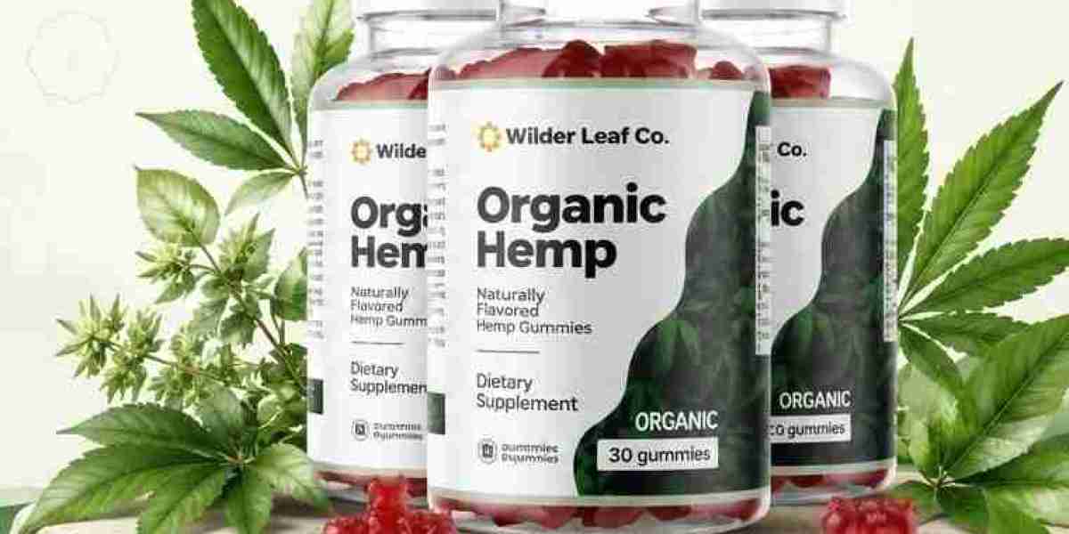 Wilder Leaf Organic Hemp Reviews (2026) – A Plant-Based Wellness Supplement Overview