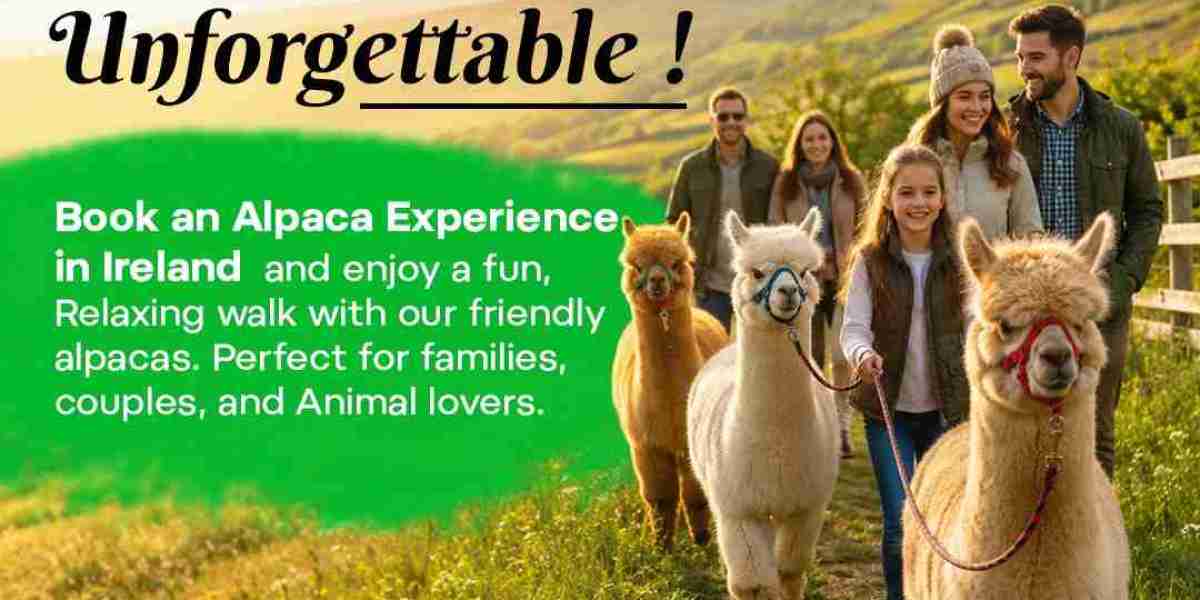 Book an Alpaca Experience in Ireland – Create Unforgettable Memories at FineOaks Alpacas