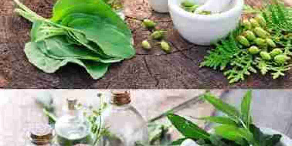 Herbal Medicine Market Set for Strong Growth as Natural Healthcare Gains Global Momentum